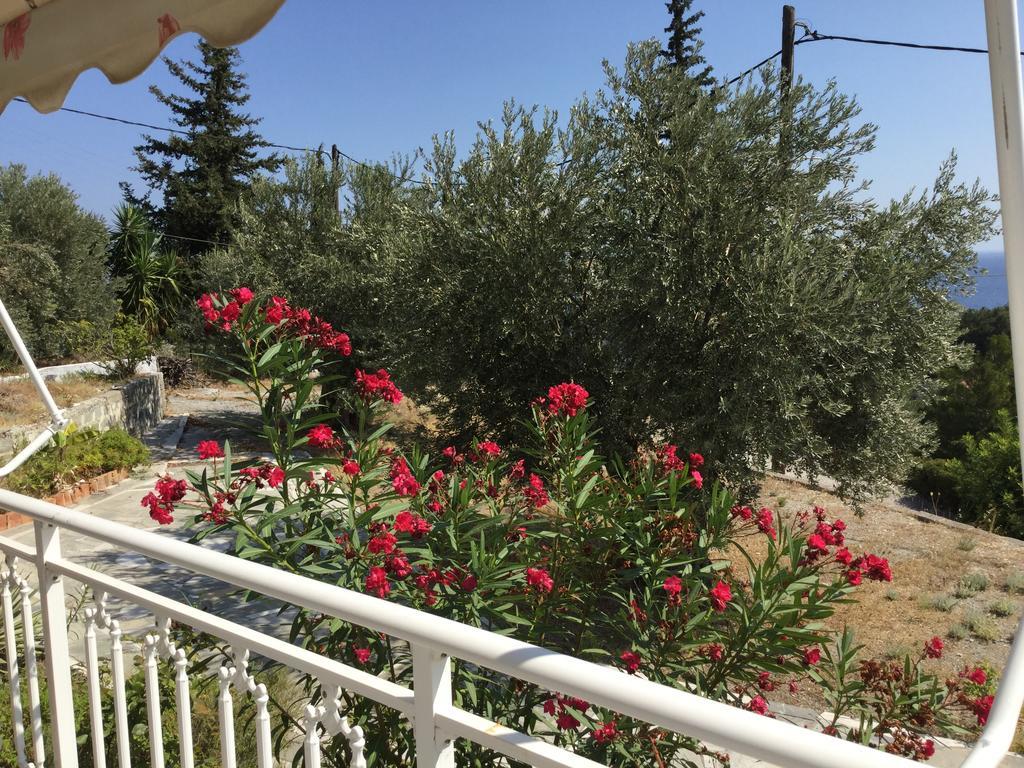 Villa Seretis Kokkari Esterno foto